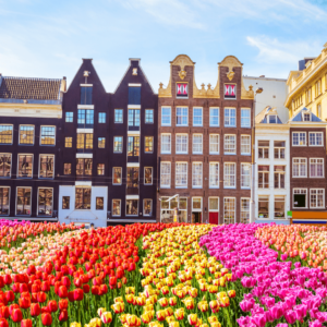 Targ kwiatowy, Amsterdam