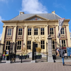 Mauritshuis, Haga, Wyprawy ze Sztuką
