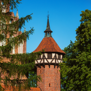 Polski Gotyk, Wyprawy ze Sztuką, Malbork